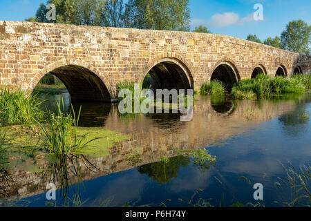 Spetisbury Dorset England Juni 30, 2018 Alte Steinbrücke über den Fluss Stour Stockfoto