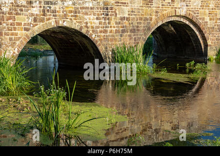 Spetisbury Dorset England Juni 30, 2018 Alte Steinbrücke über den Fluss Stour Stockfoto