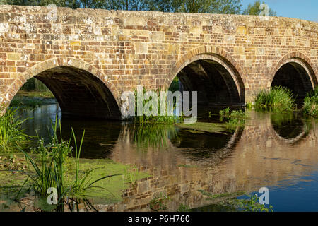 Spetisbury Dorset England Juni 30, 2018 Alte Steinbrücke über den Fluss Stour Stockfoto