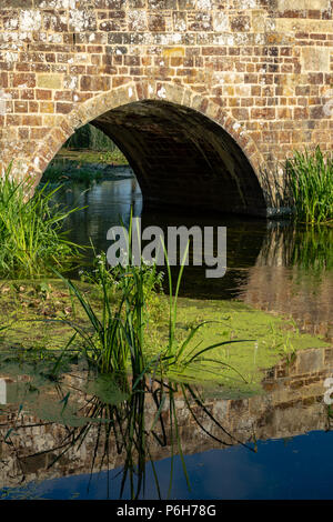 Spetisbury Dorset England Juni 30, 2018 Alte Steinbrücke über den Fluss Stour Stockfoto