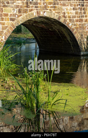 Spetisbury Dorset England Juni 30, 2018 Alte Steinbrücke über den Fluss Stour Stockfoto