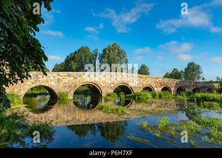 Spetisbury Dorset England Juni 30, 2018 Alte Steinbrücke über den Fluss Stour Stockfoto