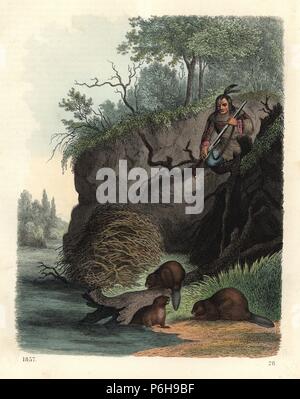 Native American Jäger mit Gewehr beobachten Biber, Castor canadensis, einen Staudamm bauen. Papierkörbe Lithographie von Carl Hoffmann's Buch der Welt, Stuttgart, 1857. Stockfoto