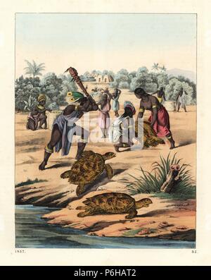 Indianer Jagen die Karettschildkröte, Caretta caretta (gefährdet). Papierkörbe Lithographie von Carl Hoffmann's Buch der Welt, Stuttgart, 1857. Stockfoto