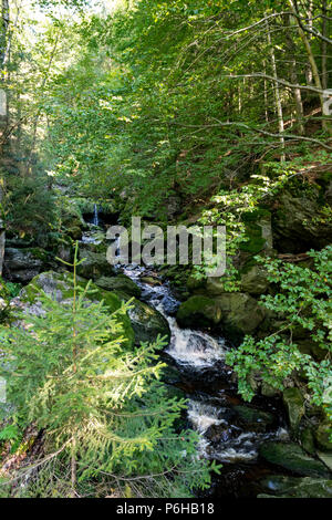 Creek mit grünem Moos in den Bayerischen Wald mit großen Steinen vor Stockfoto