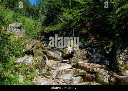 Creek mit grünem Moos in den Bayerischen Wald mit großen Steinen vor Stockfoto