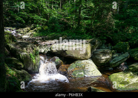 Creek mit grünem Moos in den Bayerischen Wald mit großen Steinen vor Stockfoto