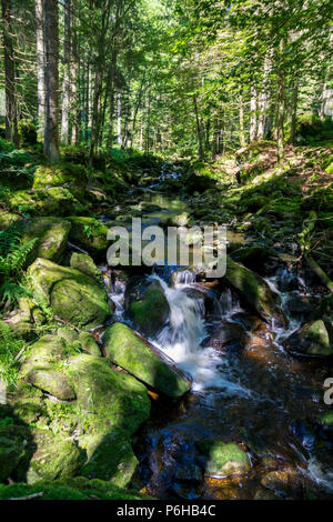 Creek mit grünem Moos in den Bayerischen Wald mit großen Steinen vor Stockfoto