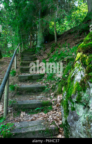 Treppen mit Felsen im Bayerischen Wald Stockfoto