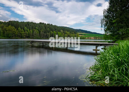 Steg auf einem See mit Wolken am Himmel und Gras und ein Spiegelbild der Bäume auf dem Wasser im Bayerischen Wald Stockfoto