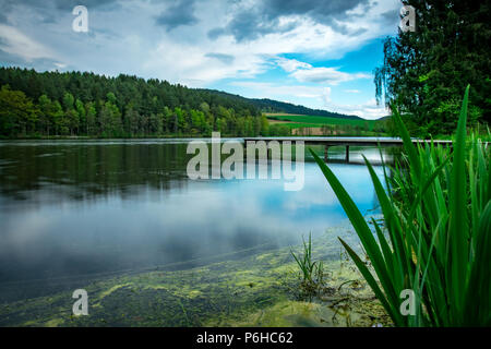 Steg auf einem See mit Wolken am Himmel und Gras und ein Spiegelbild der Bäume auf dem Wasser im Bayerischen Wald Stockfoto