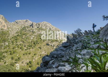 Puig de Sa Cova des Carboner, 842 metros, Sierra de Tramuntana, Mallorca, Balearen, Spanien, Europa. Stockfoto