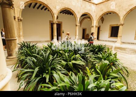 Estudio Luliano allgemein, Antigua universidad Mittelalterlichen de Mallorca - Real y Pontificia Universidad Luliana y Literaria de Mallorca, Palma, Mallorca, Balearen, Spanien, Europa. Stockfoto