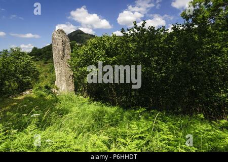 Gran Menhir de Counozouls herum, Valle de Aude, Roussillon, pirineos Orientales, Francia, Europa. Stockfoto