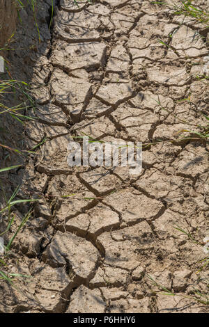 Trockener Wasserkanal am Feldrand. Für Wasserknappheit im Vereinigten Königreich, Klimawandel, mögliche Hungersnot, Hitzewellen-Konzept, Hitzewellen-Pflanzen, Gartenarbeit in Hitzewelle Stockfoto