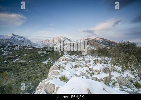 Puig Major 1436 Metros, Puig de Sa Font 1071 Metros, Puig de Tossals Verds 1118 Metros, desde Puig de Sa Cova des Carboner, Escorca, Sierra de Tramuntana, Mallorca, Balearen, Spanien, Europa. Stockfoto