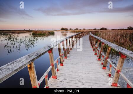 Pasarelas al Amanecer, Parque Nacional Tablas de Daimiel, Ciudad Real, Kastilien-La Mancha, Spanien, Europa. Stockfoto