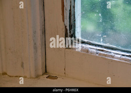 Nahaufnahme eines alten Holz- Fenster und Fensterrahmen, die in schimmel bedeckt ist und abblätternde Farbe und ist in der Notwendigkeit der Reparatur oder Austausch Stockfoto