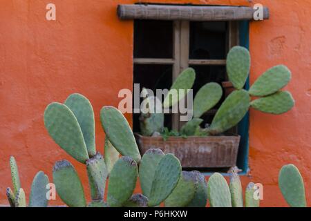 Casa de Farbe, Barrio de El Terreno, Distrito de Poniente, Palma de Mallorca, Balearen, Spanien, Europa. Stockfoto