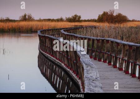 Pasarelas al Amanecer, Parque Nacional Tablas de Daimiel, Ciudad Real, Kastilien-La Mancha, Spanien, Europa. Stockfoto