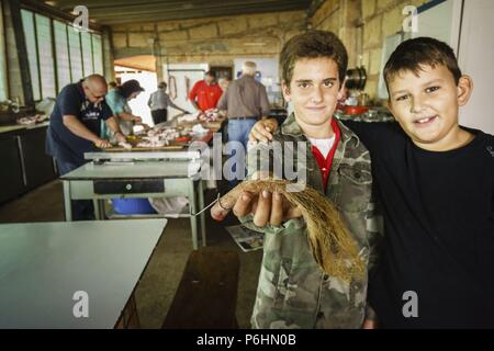 Matanza tradicional, bromas con la Cola del Cerdo, Llucmajor. Mallorca Spanien. Stockfoto