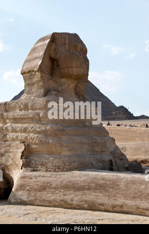 Die Große Sphinx von Gizeh, ein Fabelwesen mit dem Körper eines Löwen und den Kopf, an den Pyramiden von Gizeh, Ägypten gelegen. Stockfoto