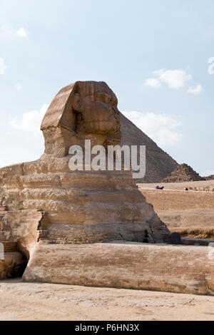 Die Große Sphinx von Gizeh, ein Fabelwesen mit dem Körper eines Löwen und den Kopf, an den Pyramiden von Gizeh, Ägypten gelegen. Stockfoto