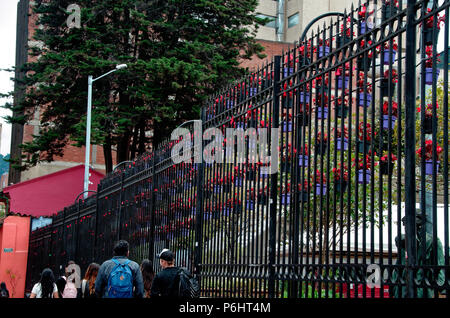 Hängende Körbe, oder hängenden Eimer, Kübel, Töpfe, am Geländer in Bogotá, mit Blumen. Stockfoto