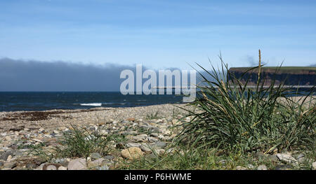 Seegras Saltburn am Meer Stockfoto