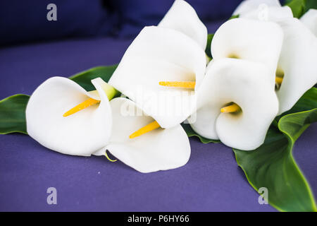 Schöne weiße calla Lilien in einem Blumenstrauß auf rustikalen Hintergrund Stockfoto