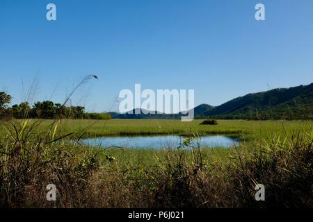 Kleiner See in einem Feuchtgebiet durch Gras und Bergen umgeben, viele Gipfel Wanderung zum Berg Marlow, Townsville Stadt gemeinsame Queensland, 4810, Australien Stockfoto