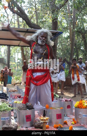 Para eduppu ist eine benutzerdefinierte populär in Kerala bhagavathi Tempel. velichappad oder Oracle und sein Team visits Häuser devotees zu segnen. Stockfoto