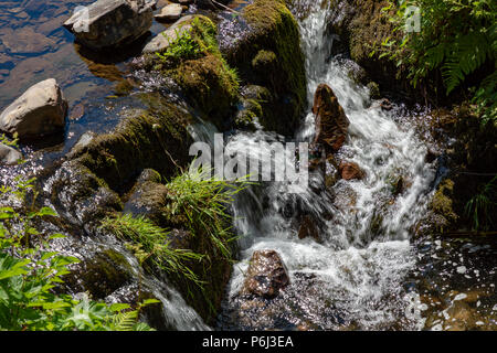 Der Räuber Brücke Somerset England Juni 27, 2018 Kleiner Wasserfall am Wehr Wasser Stockfoto