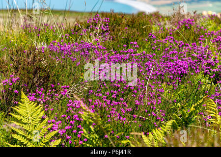 Porlock Somerset England Juni 27, 2018 Blick von oben von Porlock Hill, die die Küste von den Bristol Channel Stockfoto