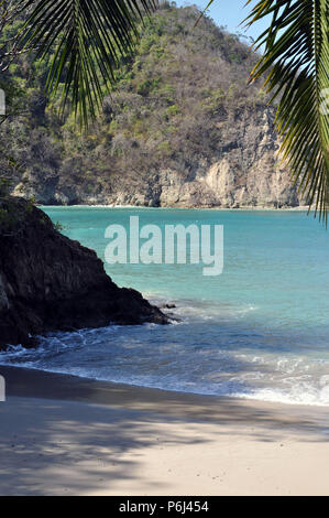 Ein Blick auf das Meer und eine Klippe, als säßen Sie direkt unter einer Palme wurden Stockfoto