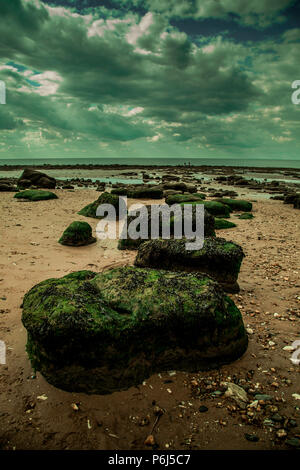 Bild von Old Hunstanton Beach mit einem Moody Himmel und Algen bedeckt Felsen im Vordergrund. Stockfoto