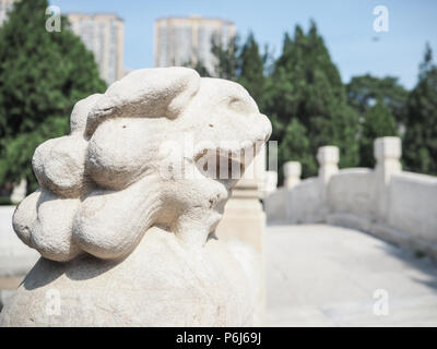 Weiß steinernen Löwen auf einer Brücke bewacht den Eingang des Konfuzius Tempel in Tianjin, China, Stockfoto