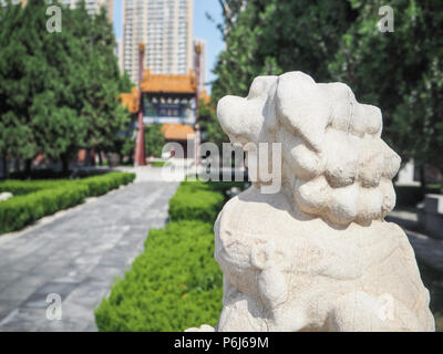 Weiß steinernen Löwen bewacht den Eingang des Konfuzius Tempel in Tianjin, China, Stockfoto