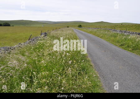 Blick nach Westen von OS Grid 075691, süd-östlich von Buxton, Derbyshire, Peak District National Park, England. Stockfoto