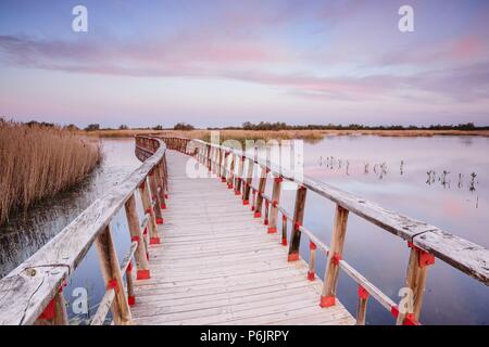 Pasarelas al Amanecer, Parque Nacional Tablas de Daimiel, Ciudad Real, Kastilien-La Mancha, Spanien, Europa. Stockfoto