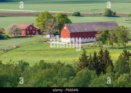 Bauernhof mit Scheune auf dem Land Stockfoto