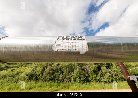 Zu den erhöhten Trans-Alaskan öl Pipeline am Alyeska Pipeline Besucher Zentrum in Fairbanks, Alaska. Die 4-Fuß breite Pipeline Schlangen durch 800 Meilen der alaskischen Wildnis, die Erdöl von der Prudhoe Bay nach Valdez, Alaska. Stockfoto