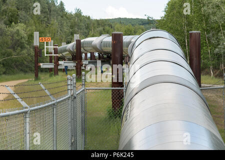 Die erhöhten Trans-Alaskan öl Pipeline am Alyeska Pipeline Besucher Zentrum in Fairbanks, Alaska. Die 4-Fuß breite Pipeline Schlangen durch 800 Meilen der alaskischen Wildnis, die Erdöl von der Prudhoe Bay nach Valdez, Alaska. Stockfoto