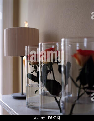 Nahaufnahme der einzelnen Rosen in schmalen Glas Vasen Stockfoto
