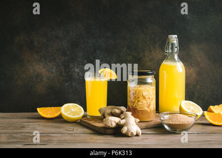 Ingwer Bug - Hausgemachte fermentierte probiotische Soda Getränk, Obst und Ingwer Bio trinken. Stockfoto