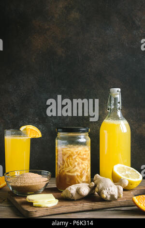 Ingwer Bug - Hausgemachte fermentierte probiotische Soda Getränk, Obst und Ingwer Bio trinken. Stockfoto