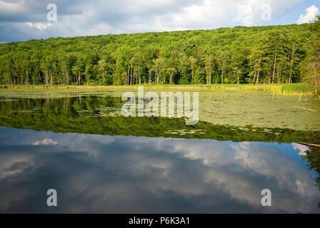 Springbrunnen State Park in der Nähe von Great Barrington, Berkshire County, Massachusetts, USA Stockfoto