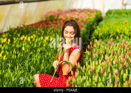 Junge Frau sitzt in einem roten Tulpen Feld bei Sonnenuntergang Stockfoto