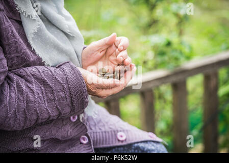 Geld, Münzen, die Großmutter auf Renten und ein Konzept für eine lebendige Minimum - in den Händen der alte Frau ist nicht genug Geld. Stockfoto