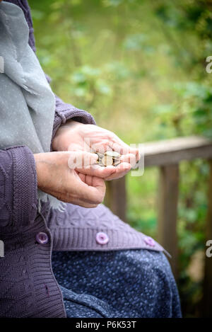 Geld, Münzen, die Großmutter auf Renten und ein Konzept für eine lebendige Minimum - in den Händen der alte Frau ist nicht genug Geld. Stockfoto